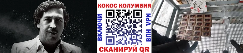 COCAIN Эквадор  Болотное 
