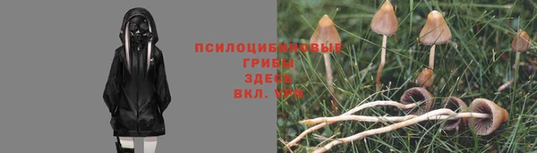 spice Абаза